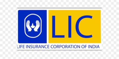 LIC - Mr. B Client